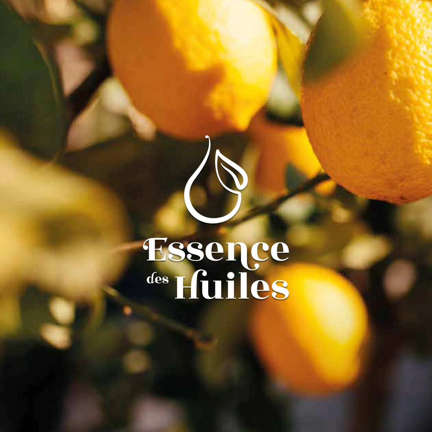Branding & E-commerce — Essence des Huiles